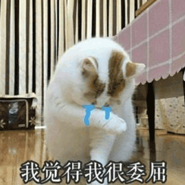博士生被導師要求幫忙遛狗，晚上補實驗！