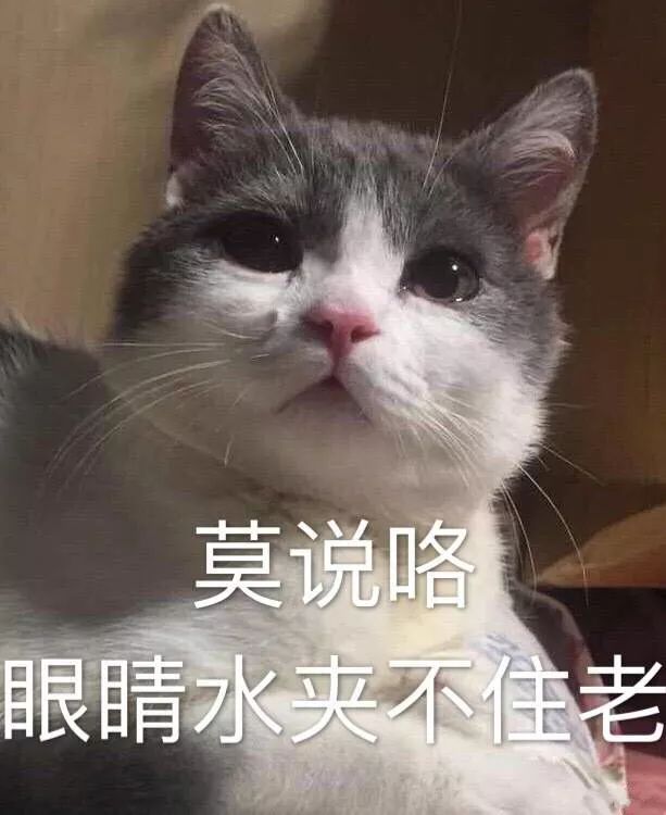 博士師弟：實驗室發了50篇SCI的菌，被我一鍋端了...