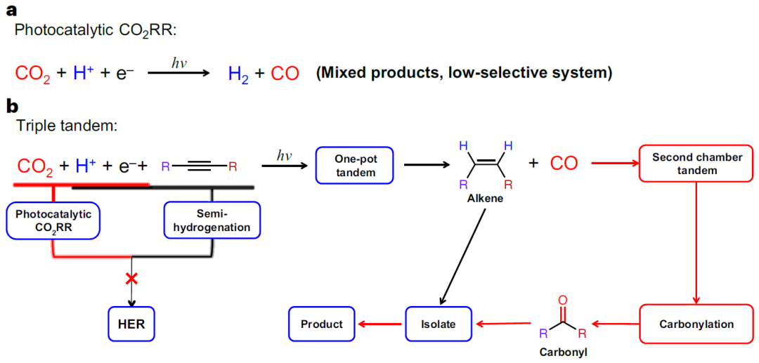 這所大學(xué)，迎來(lái)首篇Nature Synthesis！