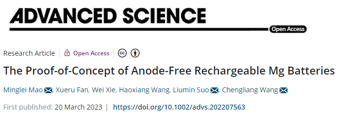 Advanced Science重磅：鎂電無負極概念！