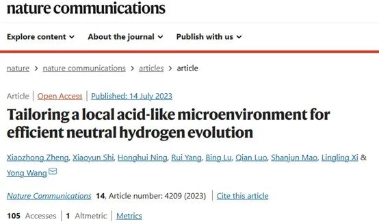 浙江大學王勇團隊Nature子刊：調控局部類酸微環境實現高效析氫
