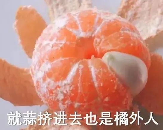 為什么博導都希望，自己的博士生畢業(yè)也去高校當老師？