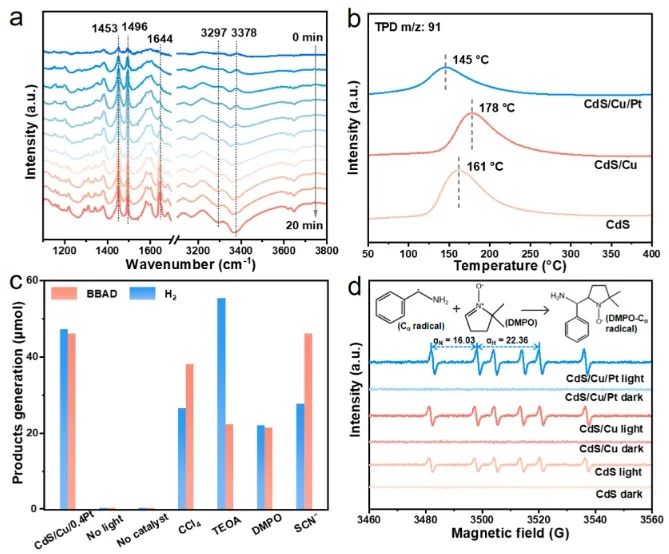 福州大學ACS Catalysis：CdS納米片上構建Cu-Pt電子轉移通道，用于選擇性合成亞胺