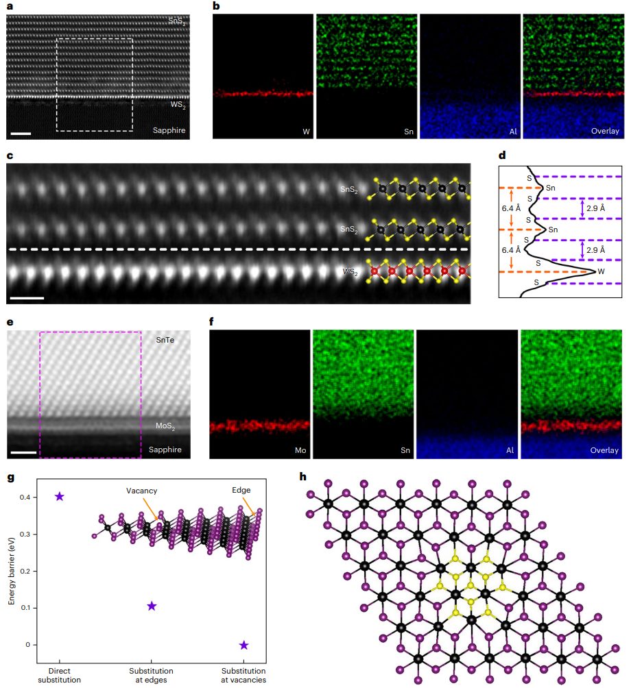 投稿到接收僅半年！廣工大黃少銘課題組最新Nature Nanotechnology！