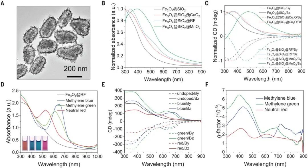 殷亞東，最新Science！