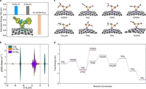 多單位合作，最新JACS！銅基催化劑電催化CO2制甲烷的新發現