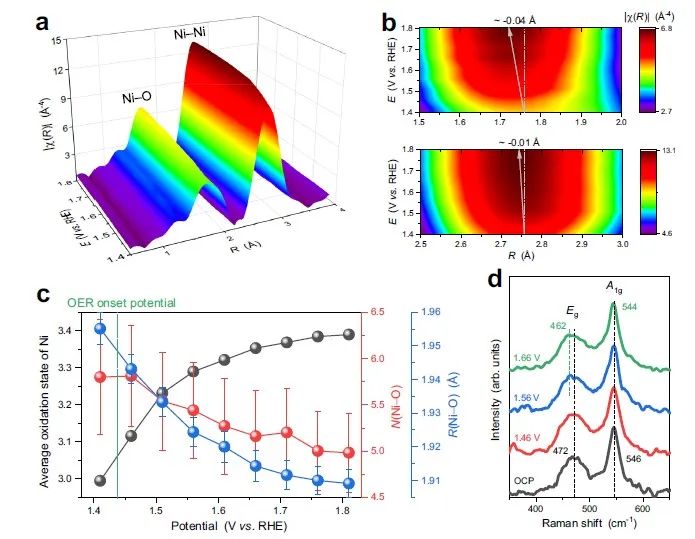 上海應物所張林娟團隊，最新Nature子刊！