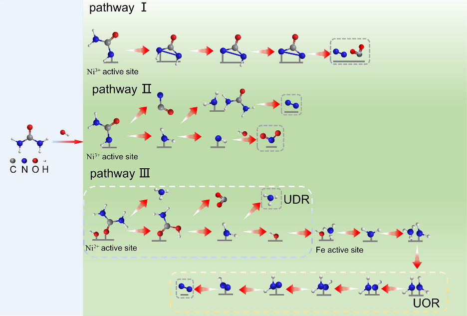 華科Chem Catalysis：如何建立尿素氧化中催化劑結構，活性物種和產物選擇性三者的構效關系？