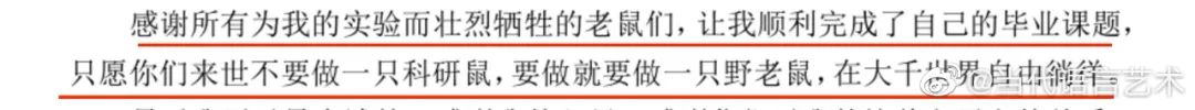 “鬼才”論文致謝刷屏！感謝我導“似導非導”的指導……