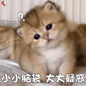 被逼瘋的審稿人，能毒舌到什么程度？