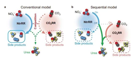 北大/電子科大Nature子刊：NC催化劑觸發(fā)NO3?和CO2順序還原，實(shí)現(xiàn)選擇性尿素電合成