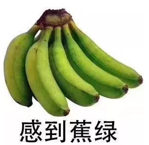 博士第六年，我還沒有發Paper！