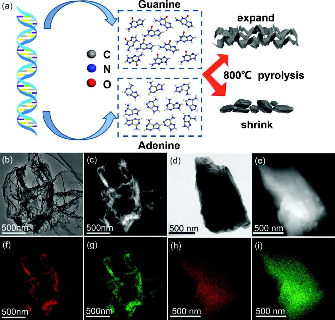 電池頂刊集錦！Nat. commun./JACS/Angew/Adv. Sci./AFM/EnSM等成果！