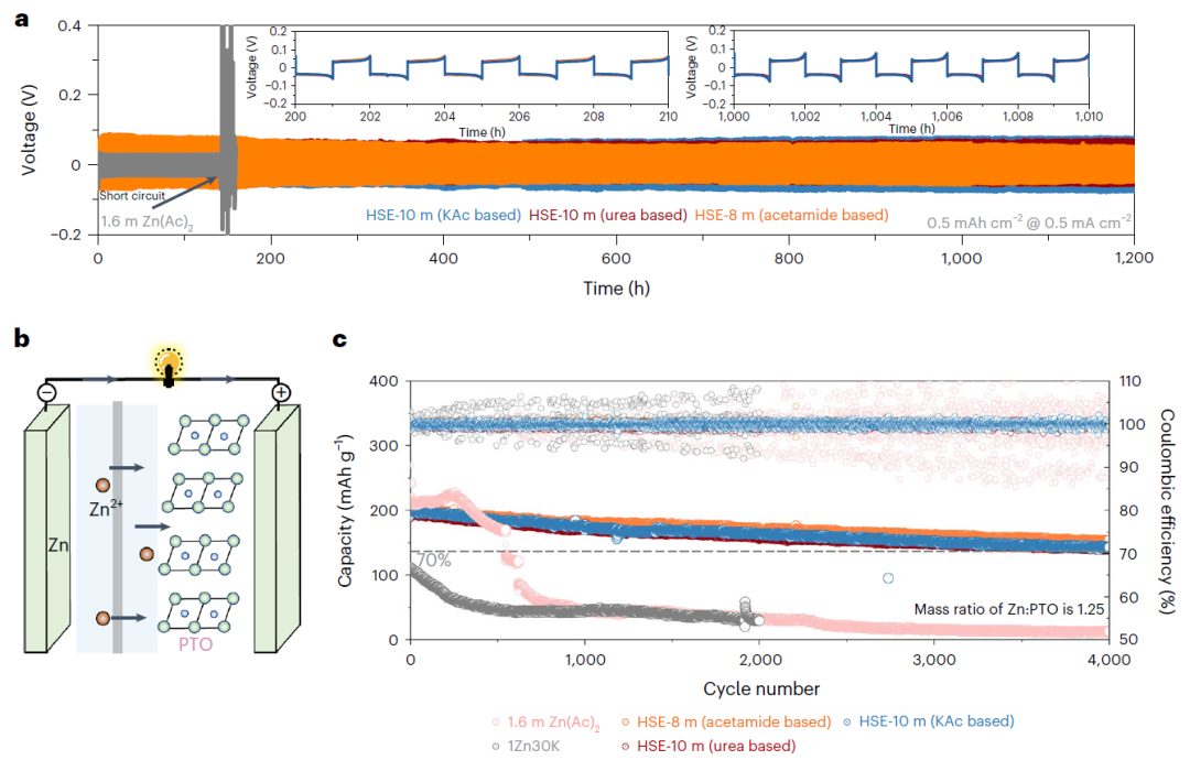 再刷新記錄！JMCA副主編盧怡君最新Nature子刊！電解液濃度做到23 M