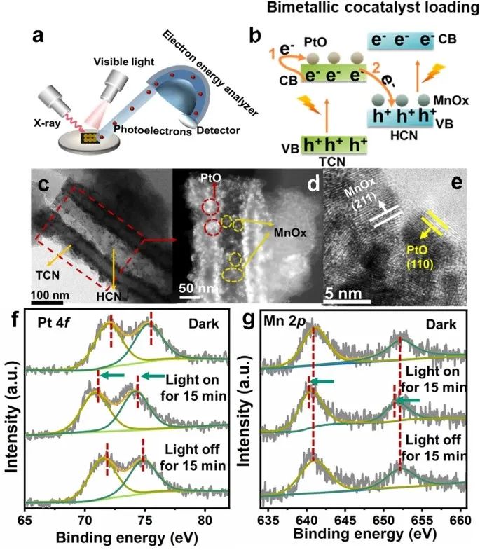 向全軍/喬梁/呂康樂，最新Nature子刊！