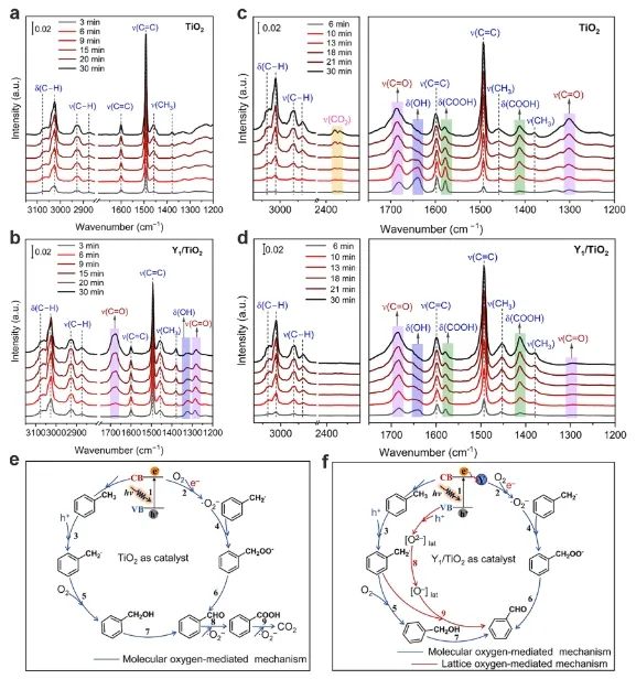 段昊泓/徐明ACS Catalysis：Y1/TiO2上分子氧和晶格氧同時活化，顯著促進甲苯氧化為苯甲醛