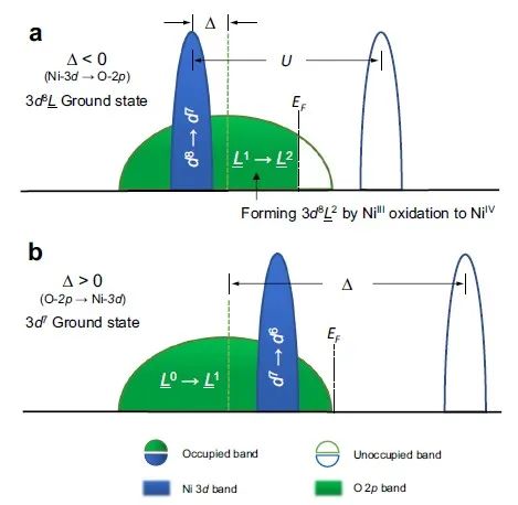 上海應物所張林娟團隊，最新Nature子刊！