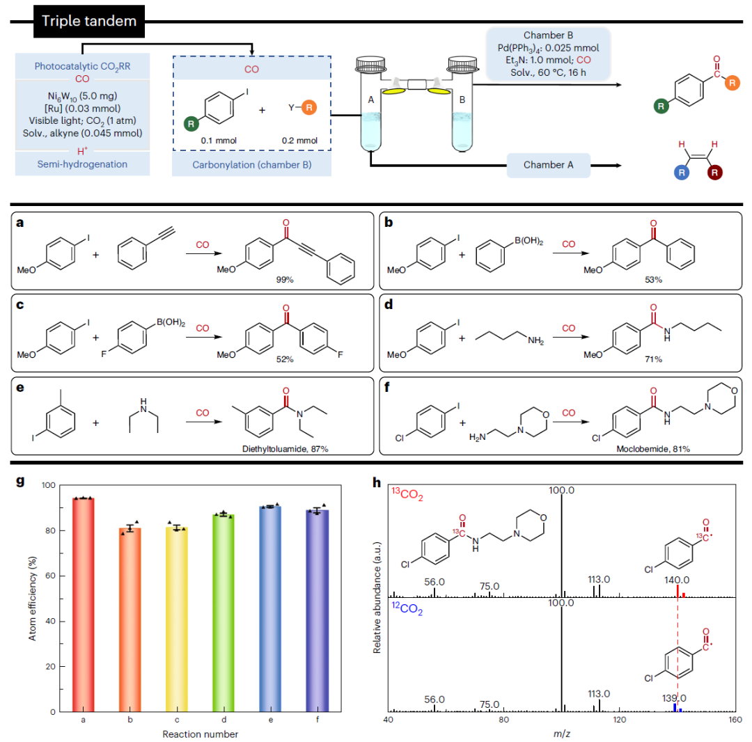 這所大學(xué)，迎來(lái)首篇Nature Synthesis！