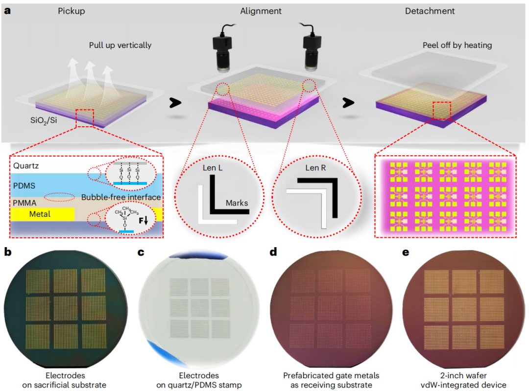 強強聯合！湖大段曦東教授&劉淵教授，今日Nature Nanotechnology！