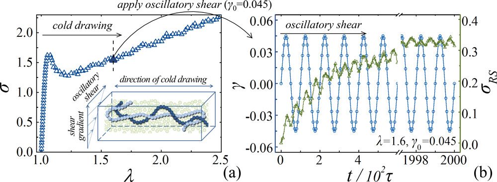 中國科學技術大學李良彬、崔昆朋團隊ACS Macro Letters | 玻璃態聚合物在應變中由鍵取向決定的焓應力
