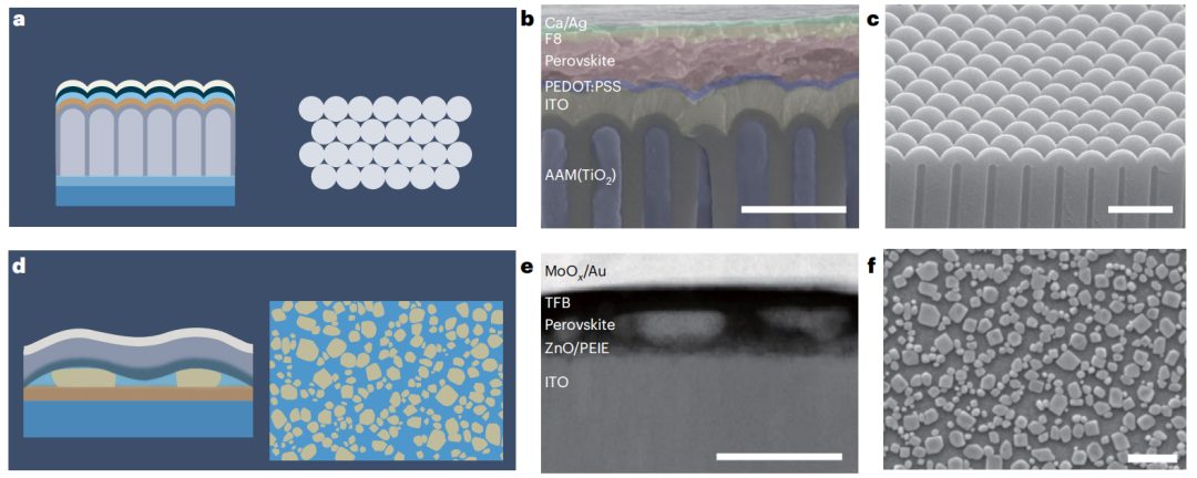 浙大趙保丹/狄大衛重磅Nature Nanotechnology！
