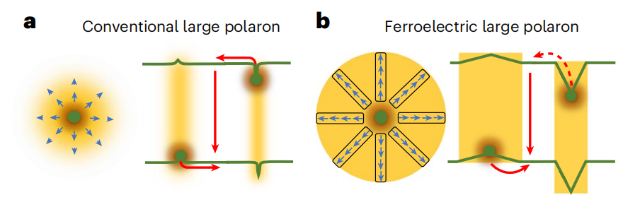 段鑲鋒教授/平遠教授，今日Nature Nanotechnology！