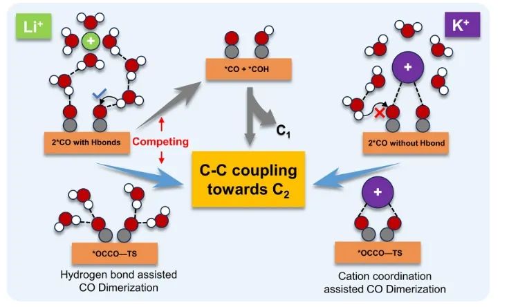 北大深研院JACS：陽離子誘導(dǎo)界面疏水微環(huán)境，促進(jìn)CO2RR中C-C耦合