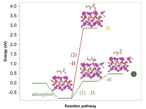 王敏/蘆天亮ACS Catalysis：Bi2MoO6中引入亞表面Mo空位，促進光催化乳酸氧化為丙酮酸