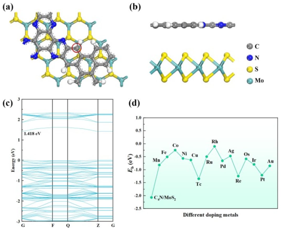 【純計算】J. Colloid Interf. Sci.：用于促進氧還原、析氧和析氫的單過渡金屬修飾C4N/MoS2異質結構