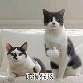 博士后吐槽自己：有時覺得自己像個騙子，做著沒什么卵用的研究