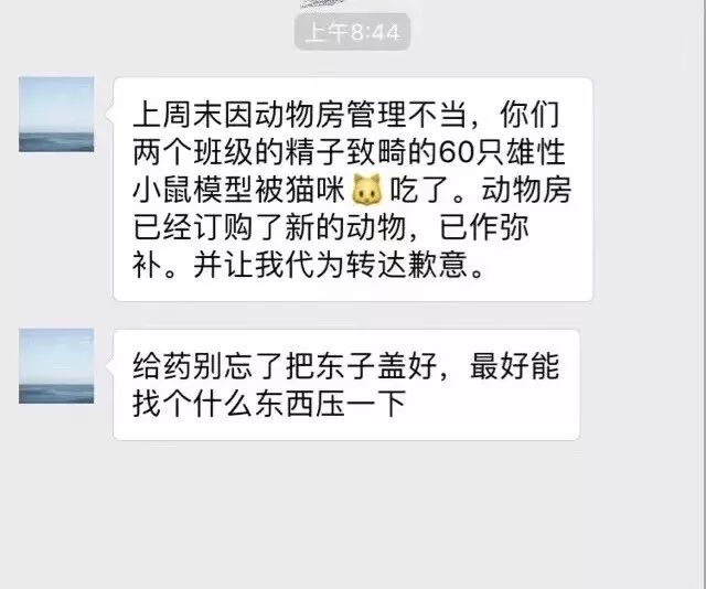 恨鐵不成鋼！實驗用菌不生長被研究生“怒批”！