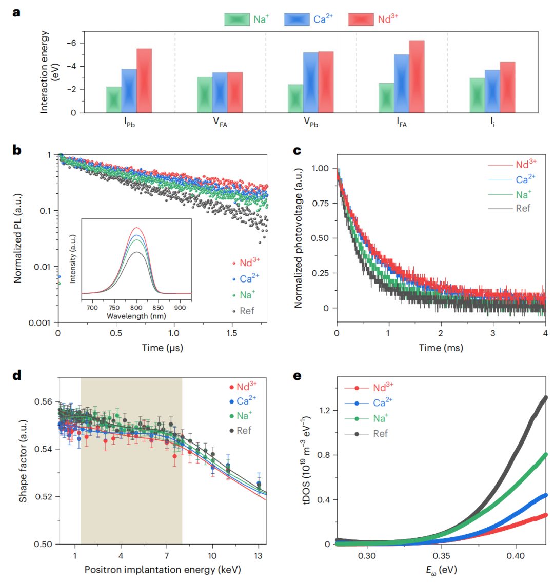 UCLA楊陽教授，最新Nature Materials！