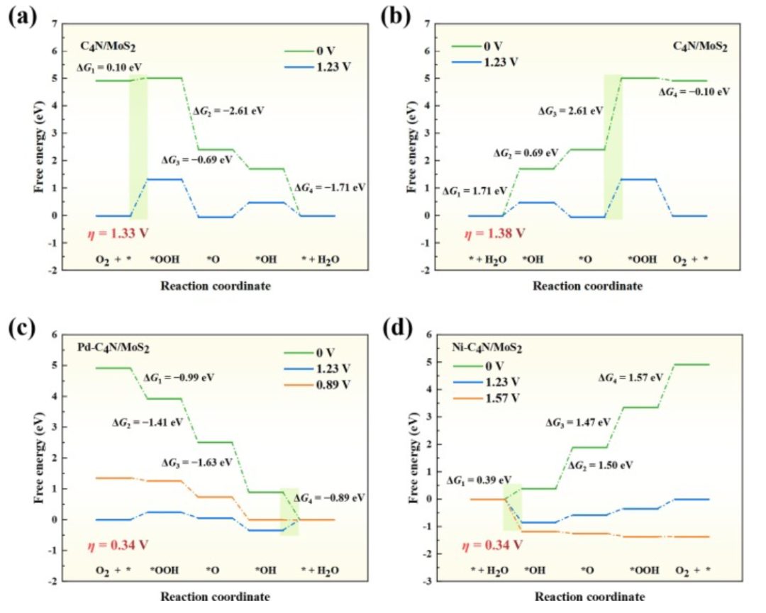 【純計算】J. Colloid Interf. Sci.：用于促進氧還原、析氧和析氫的單過渡金屬修飾C4N/MoS2異質結構