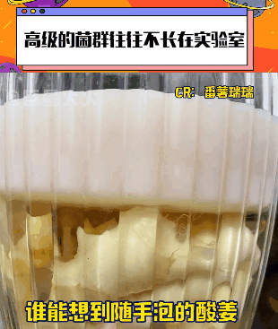 恨鐵不成鋼！實驗用菌不生長被研究生“怒批”！
