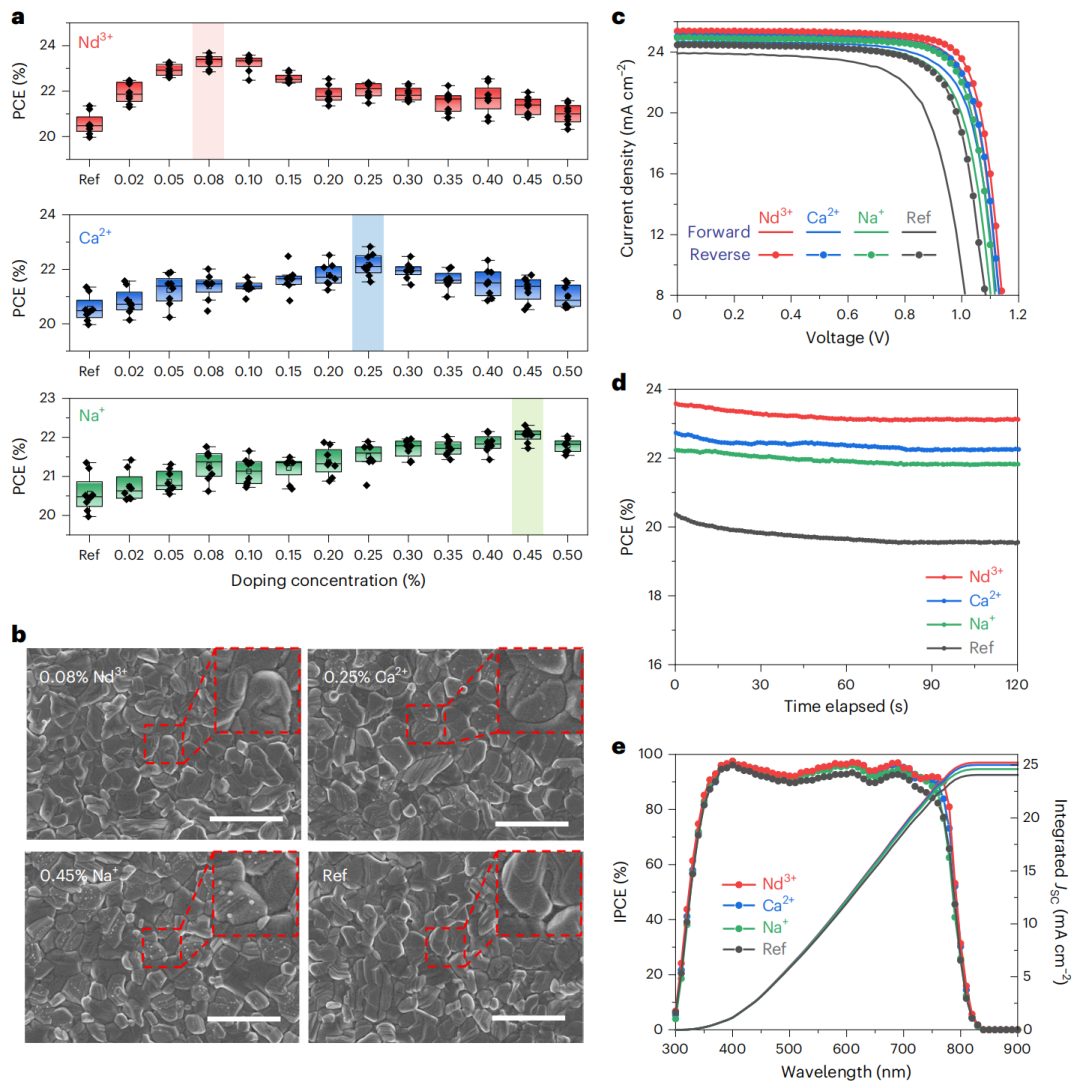 UCLA楊陽教授，最新Nature Materials！