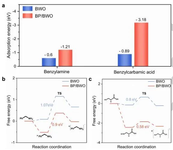 【DFT+實驗】山東大學Angew.：近100%選擇性！BP/BWO S-型異質結助力苯胺氧化和CO2光轉化
