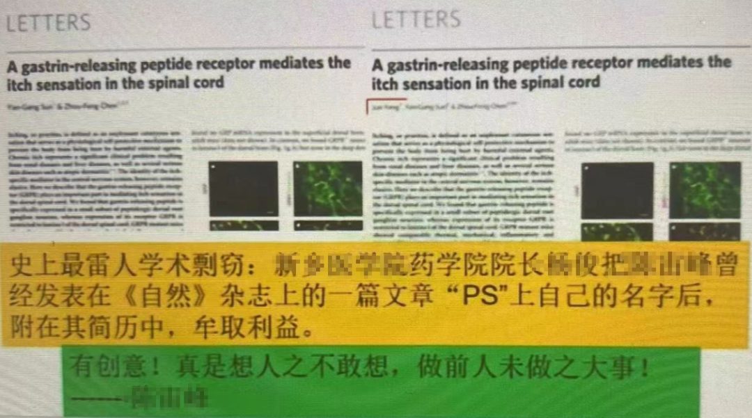 Science論文P上自己名字？字母“T”代替誤差棒？你見過最拙劣的學術造假是什么樣的？