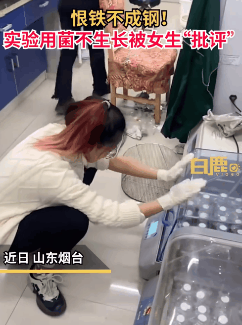 恨鐵不成鋼！實驗用菌不生長被研究生“怒批”！