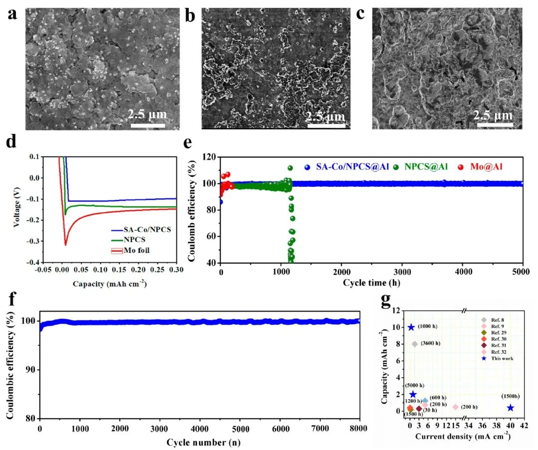 復旦余學斌ACS Energy Lett.：動態Al-O相互作用使鋁均勻沉積實現高性能鋁金屬電池
