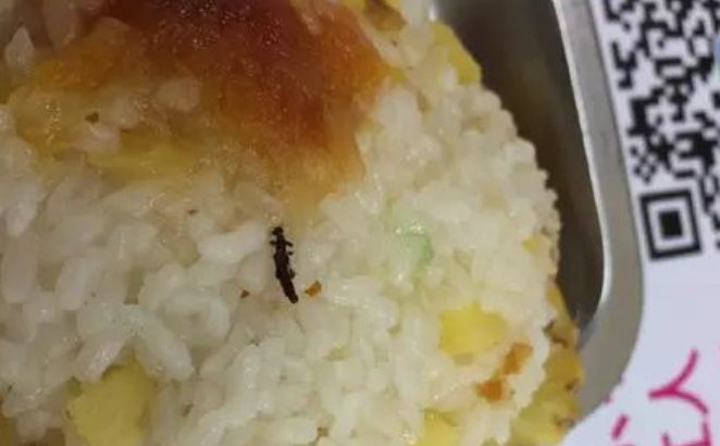 校方回應！“雙一流”高校學生建議增加菜量，食堂直接刪改菜名！