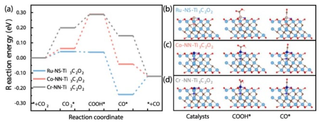 【純計(jì)算】CEJ: 用于高效CO2RR的MXene基單原子催化劑