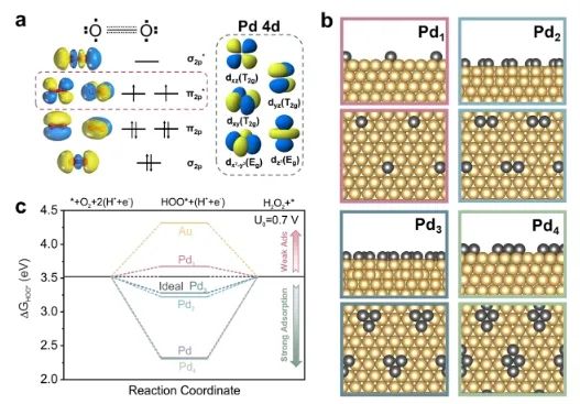 ?JACS：調(diào)制Au@Pd納米線上Pd 4d軌道重疊程度，實現(xiàn)選擇性制備H2O2