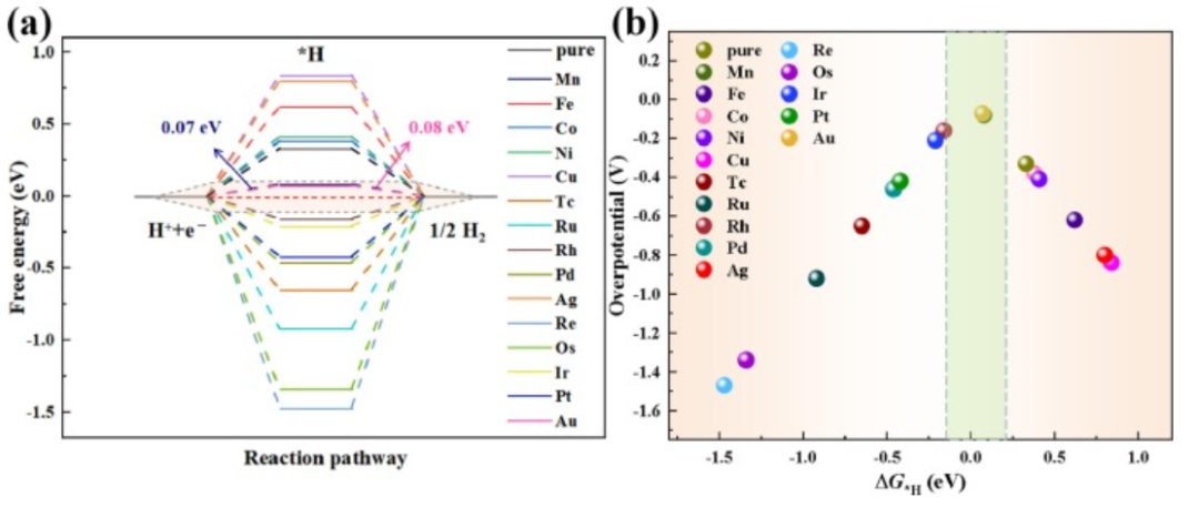 【純計算】J. Colloid Interf. Sci.：用于促進氧還原、析氧和析氫的單過渡金屬修飾C4N/MoS2異質結構