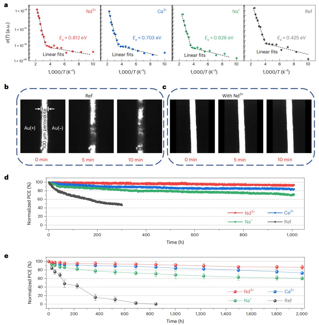 UCLA楊陽教授，最新Nature Materials！