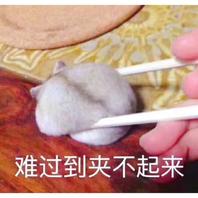 恨鐵不成鋼！實驗用菌不生長被研究生“怒批”！