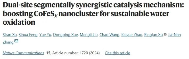 鄭州大學Nature子刊：雙位點分段協同催化，增強CoFeSx納米團簇對水的持續氧化