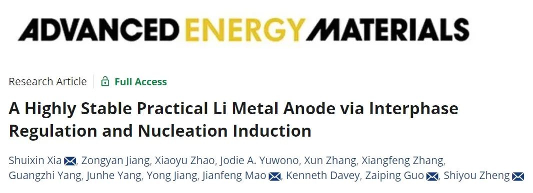 阿德萊德/上海理工AEM：相間調節和成核誘導實現高穩定鋰金屬負極
