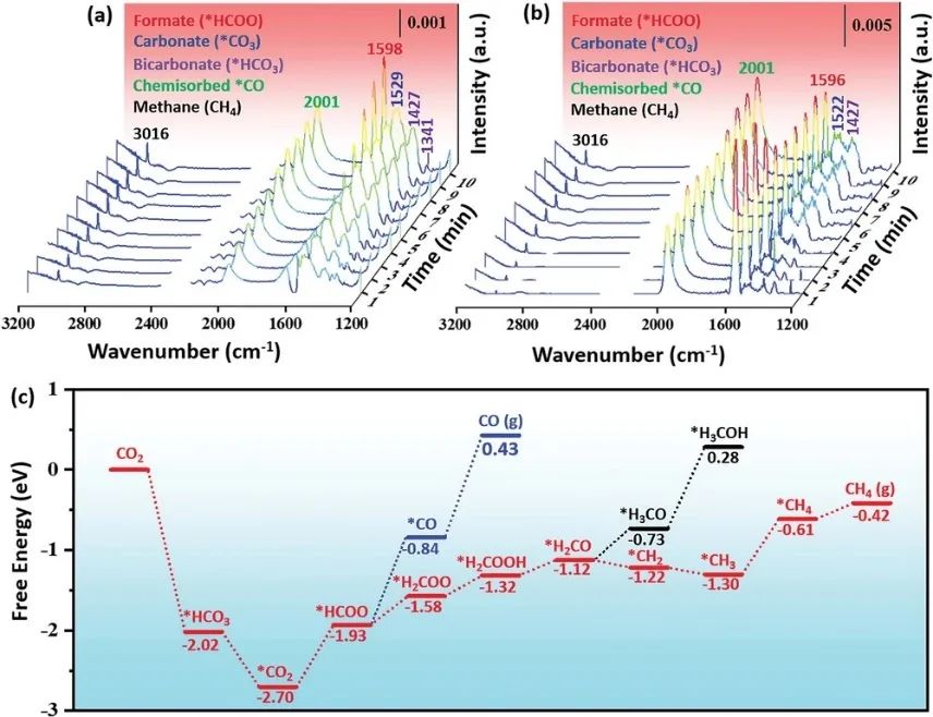 【DFT+實(shí)驗(yàn)】Adv. Sci.：Ir-CoO/Al2O3實(shí)現(xiàn)高效持久的CO2制取甲烷