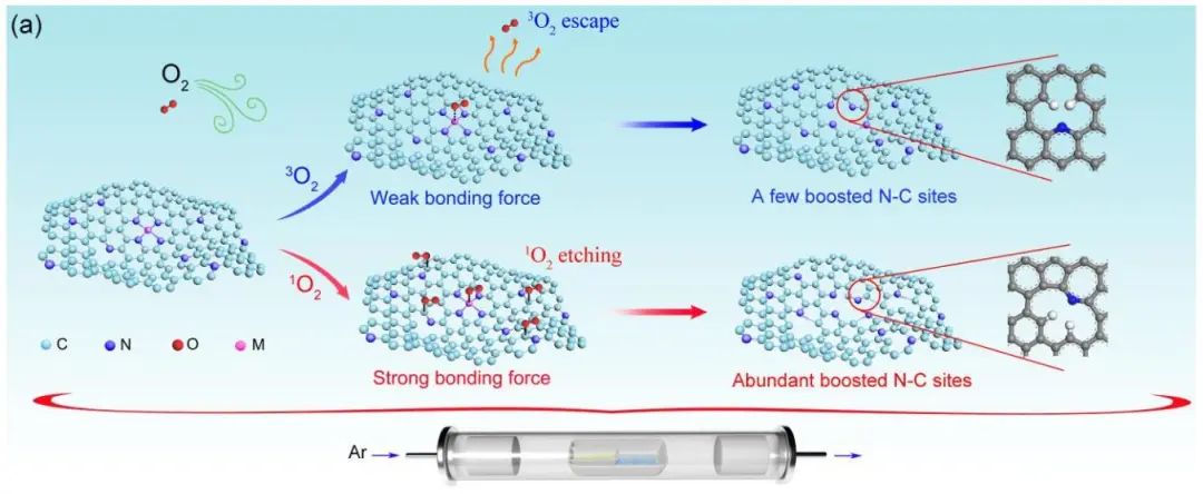 【DFT+實驗】Angew.：1O2-N/C助力高效ORR