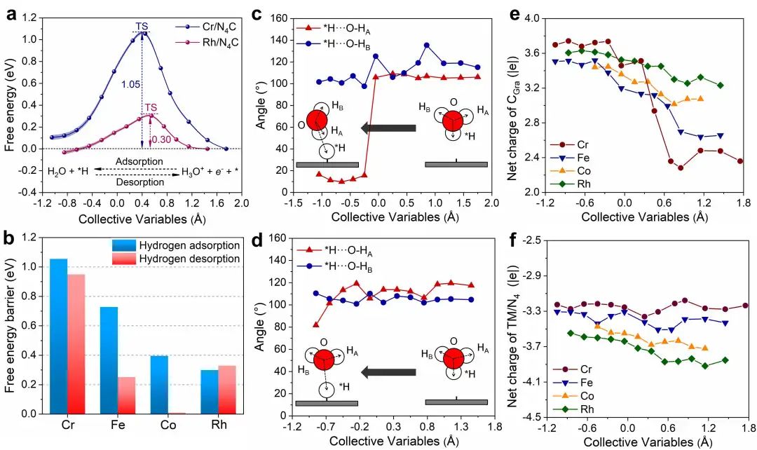 南科大王陽剛電催化動態模擬JACS：包含動力學描述符的單原子析氫電催化劑設計策略